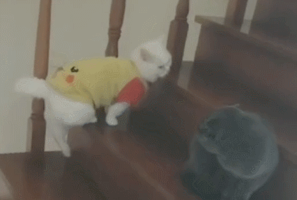 AG博彩